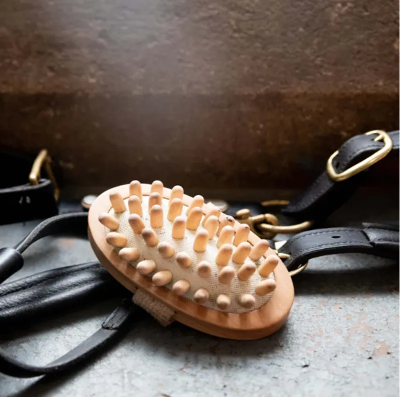 Smart grooming - Borstiq Massage Brush